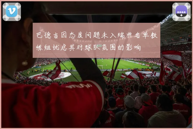 巴德吉因态度问题未入瑞典名单教练组忧虑其对球队氛围的影响