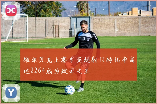 维尔贝克上赛季英超射门转化率高达2264成为效率之王